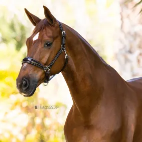 Brown Patent Conical Padded Halter