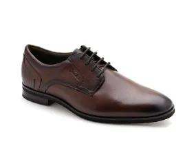 Hector Tan Men Formal Derby