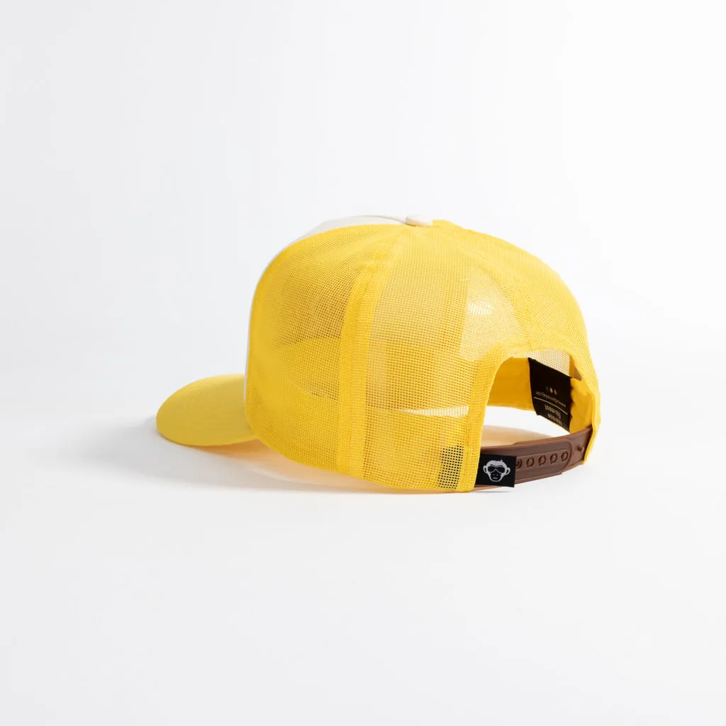 Limited edition // 002